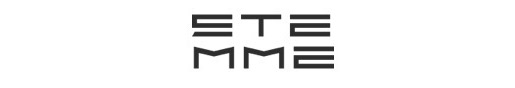 stemme logo